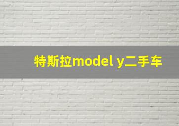 特斯拉model y二手车